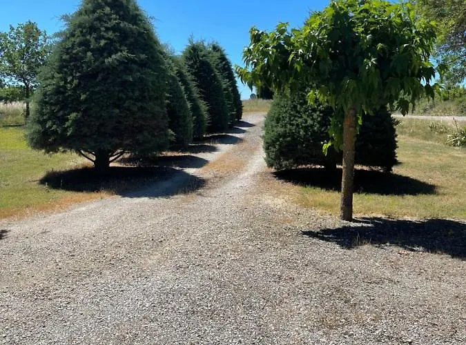 Mas D’olive Et Kalou 3* Sauve