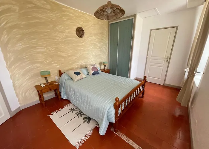 Mas D’olive Et Kalou Couette-café Sauve